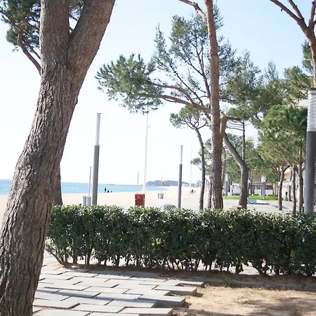 Apartment Alexandra Beach *