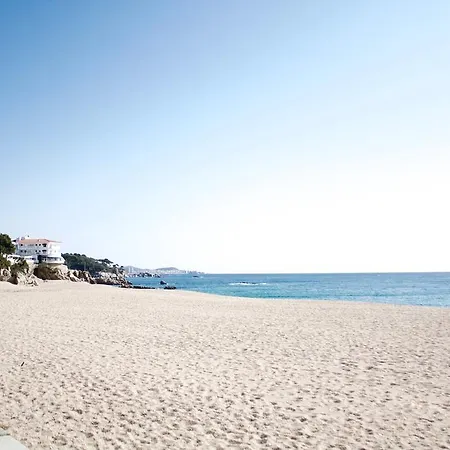 Alexandra Beach
