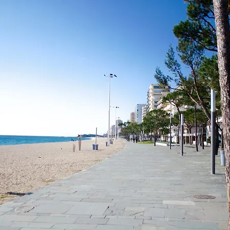 Alexandra Beach Apartment *